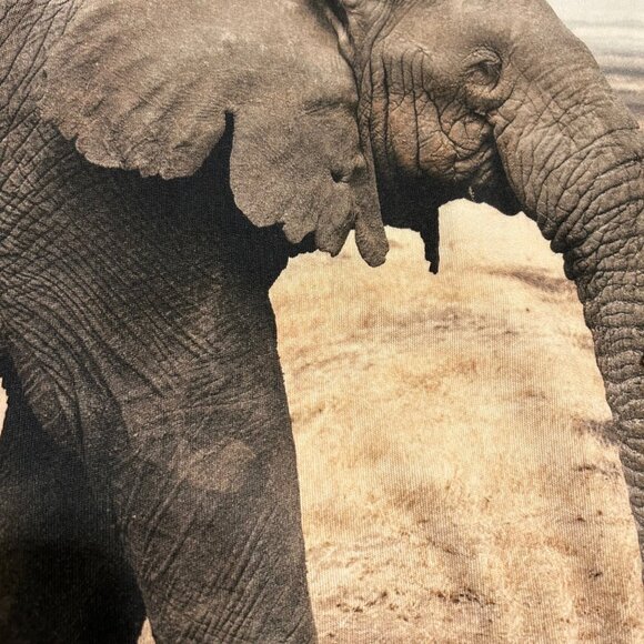 Popupshop Elephant Long Sleeve Tee 8/9 - Picture 2 of 5